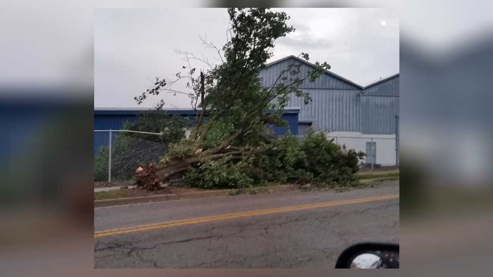 Tree down on Washington Ave. in Piqua