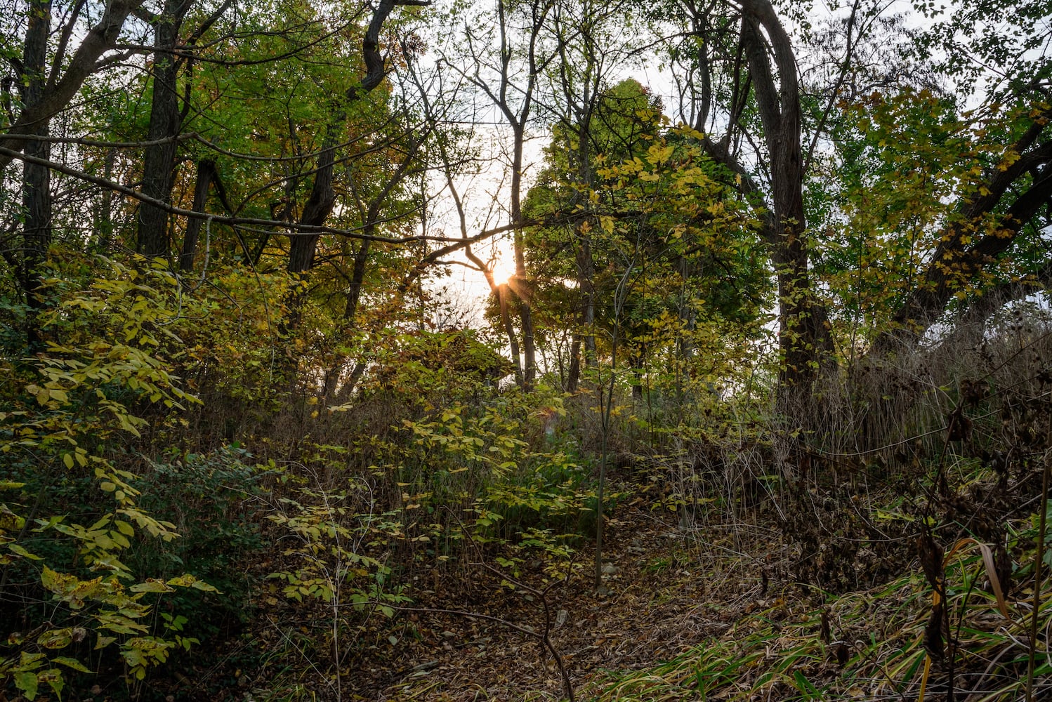 Huffman MetroPark in the fall