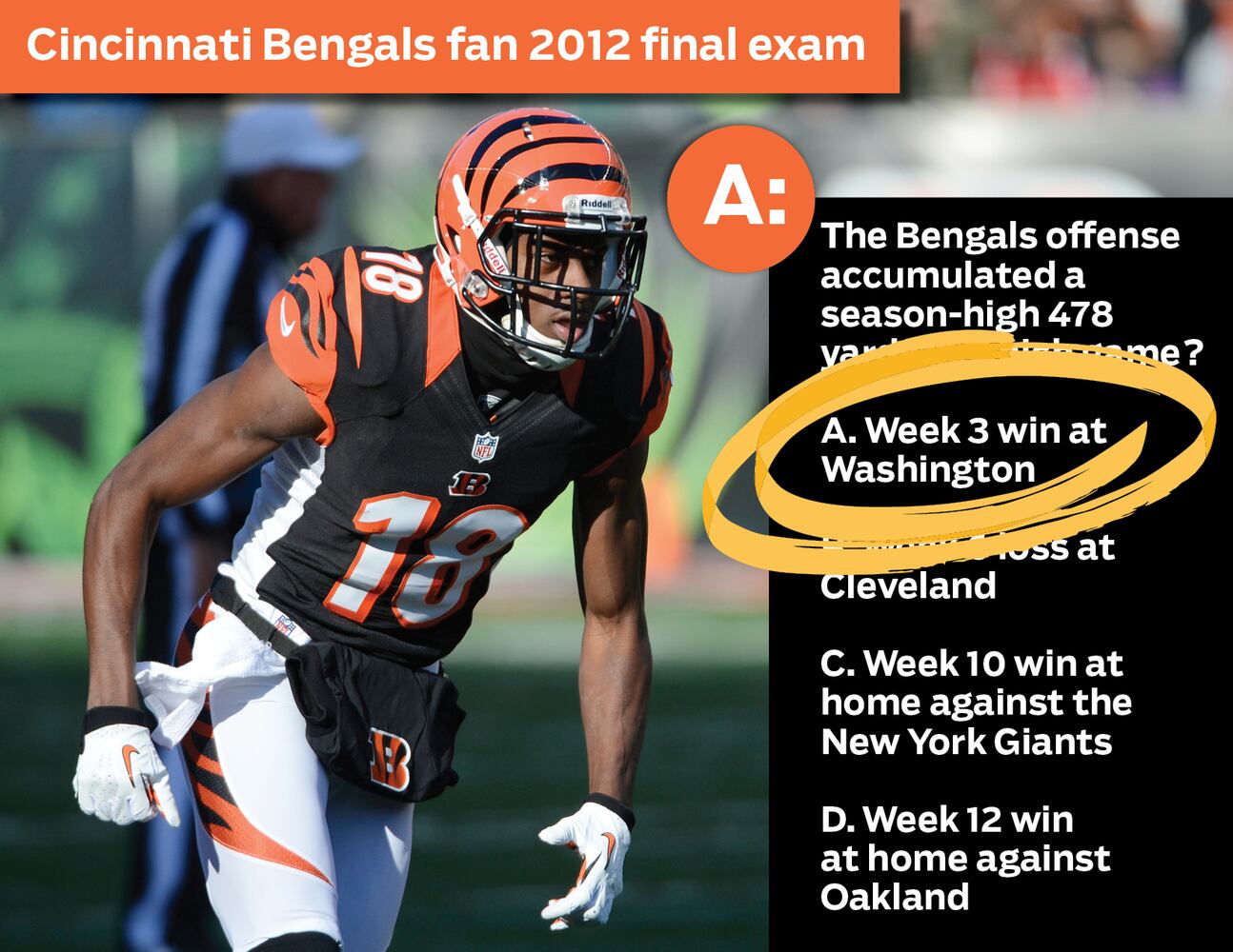 Cincinnati Bengals fan 2012 final exam: