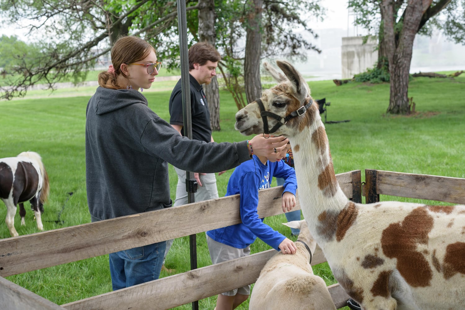 PHOTOS: 2025 Dayton Jewish Cultural Festival at Temple Israel