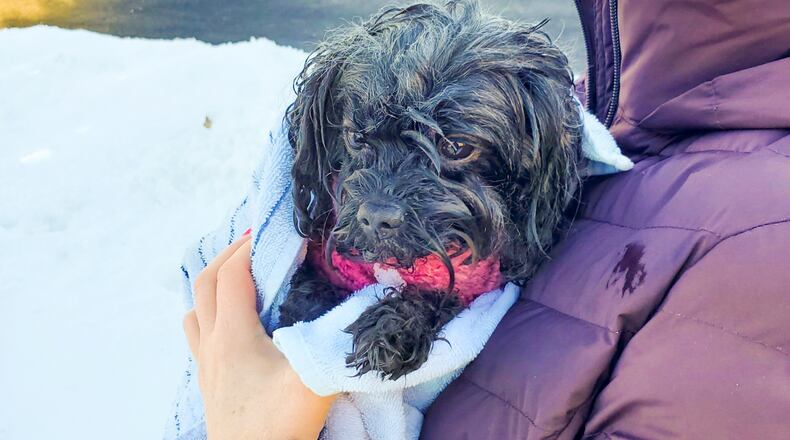 Butler County Sheriff's deputy Evan Depew, who is trained in emergency response services, pulled a Liberty Twp. woman and dog to safety after the dog fell into a frozen pond and the woman went in after it. CONTRIBUTED