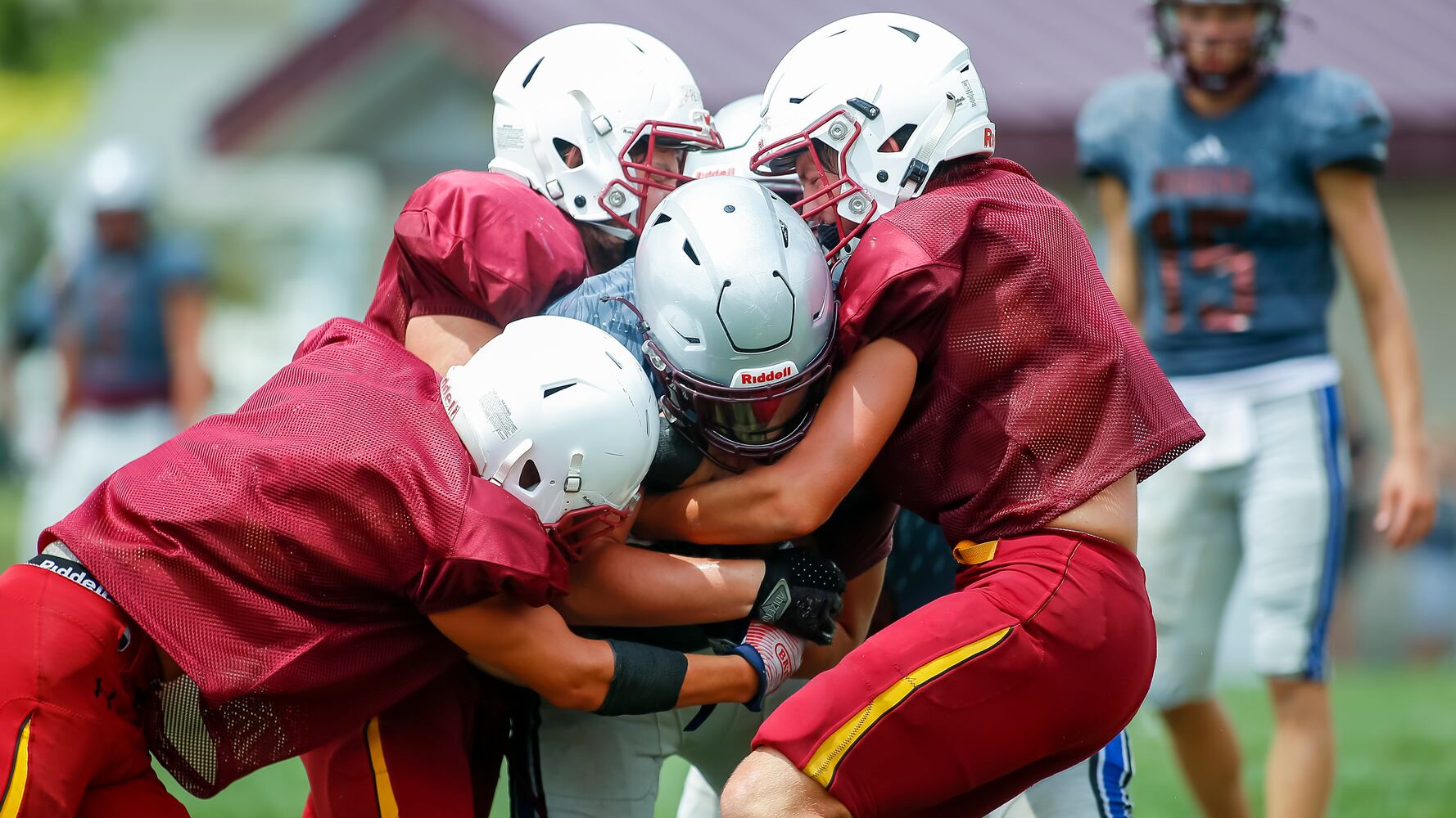hsfb