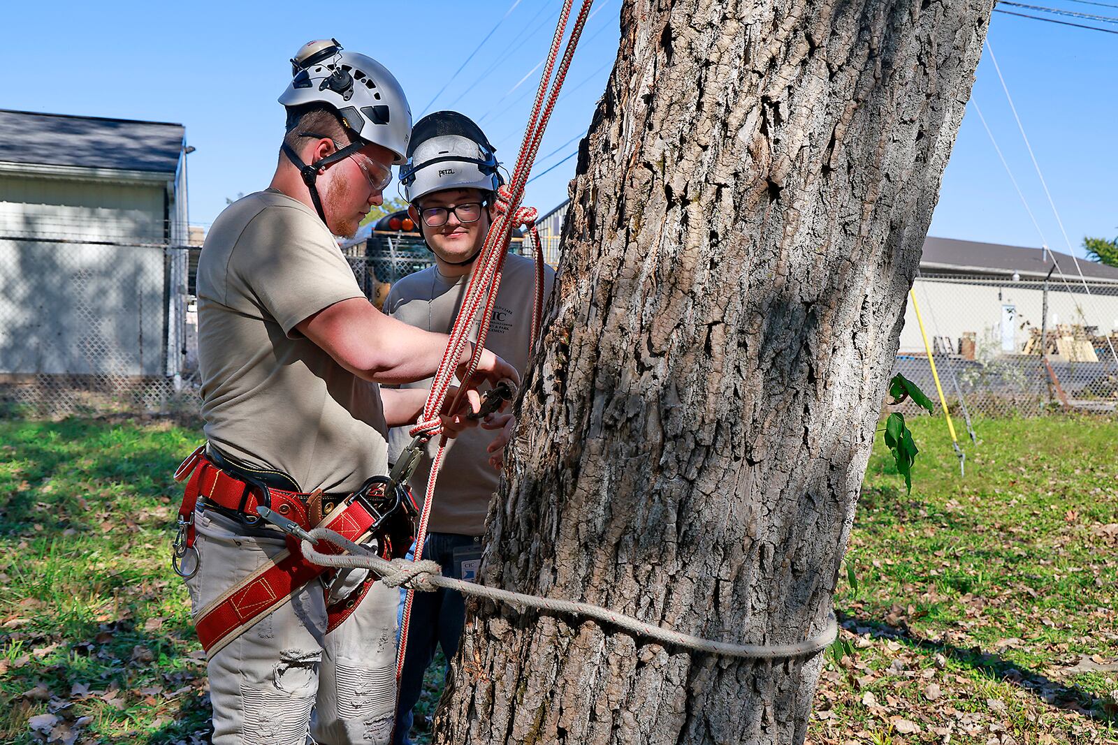 Tristan Mann, senior, Southeastern High School, and Matthew Price, senior, Southeastern High School, get set up to scale of tree in the Forestry & Park Management program at CTC Friday, Oct. 18, 2024. BILL LACKEY/STAFF