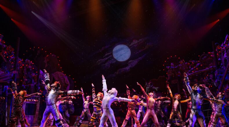 Sir Andrew Lloyd Webber’s Tony Award-winning 1982 musical “Cats,” a dance extravaganza featuring the iconic ballad “Memory,” will be presented by the Muse Machine in January 2025. CONTRIBUTED