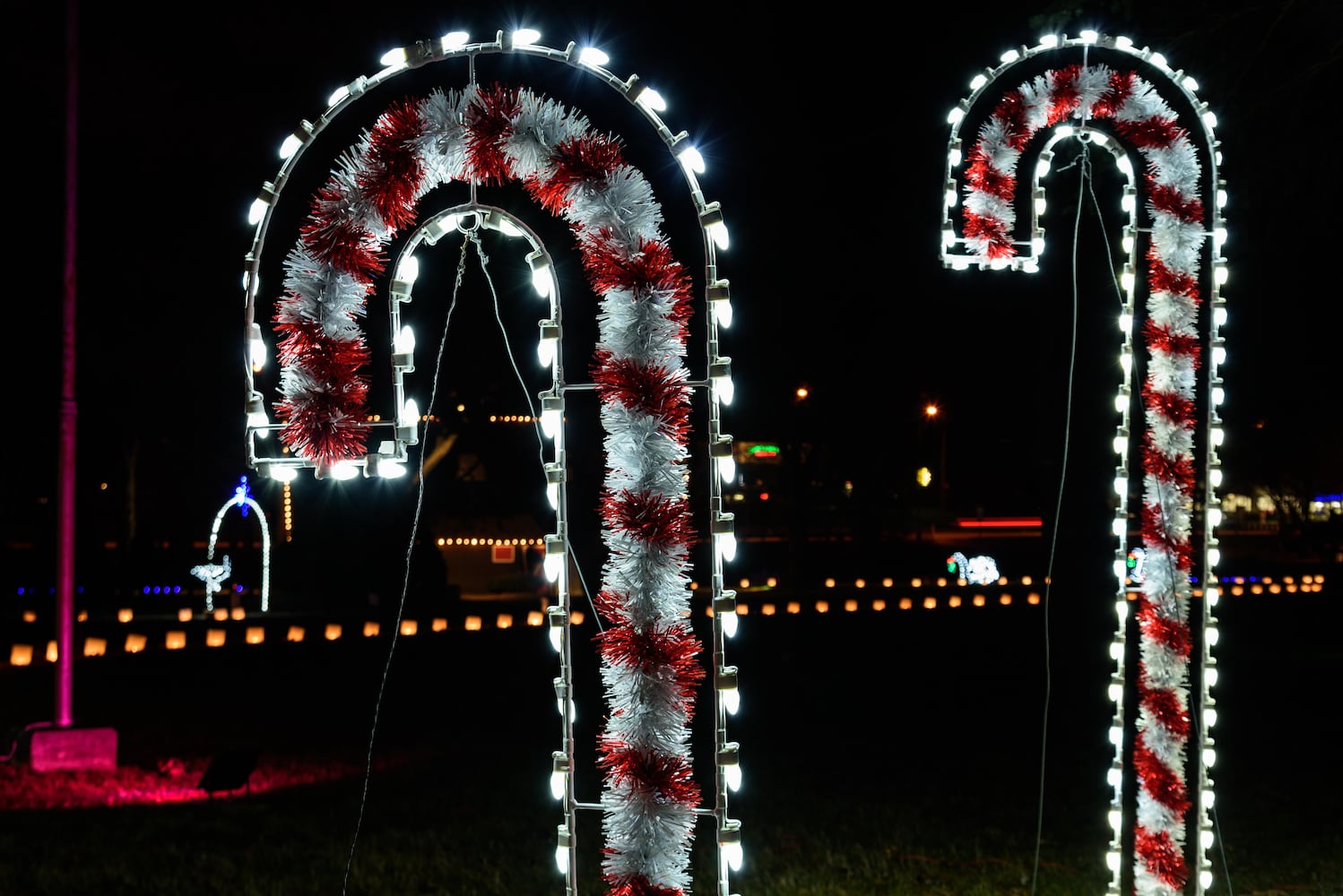 PHOTOS: A walk through Woodland Lights in Washington Township