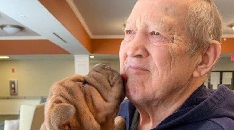 A resident at StoryPoint Troy snuggles up on a puppy a part of the puppy program, where staff bring in their beloved friends for bonding with residents. CONTRIBUTED
