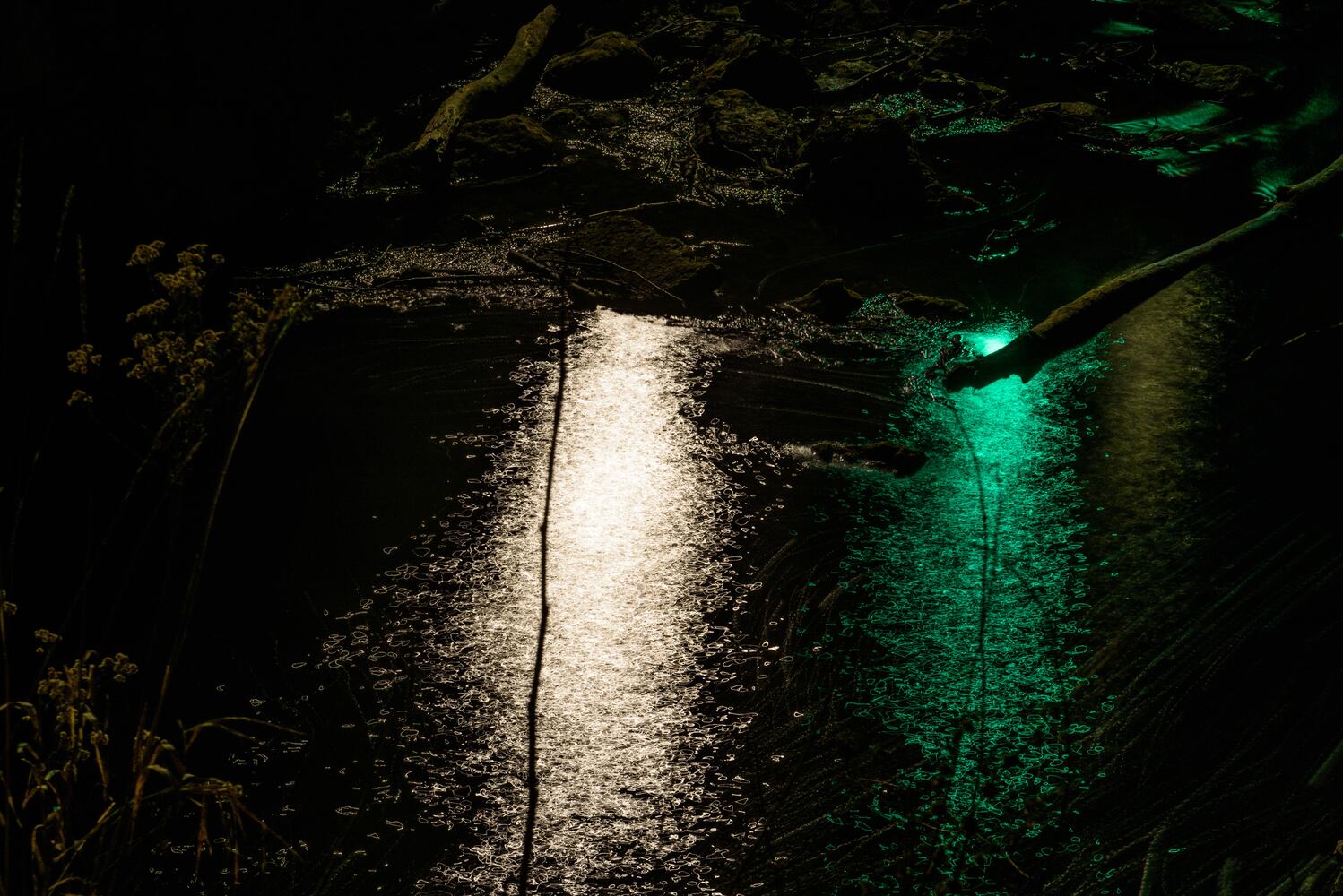 PHOTOS: Holiday lights at Cedar Cliff Falls near Cedarville