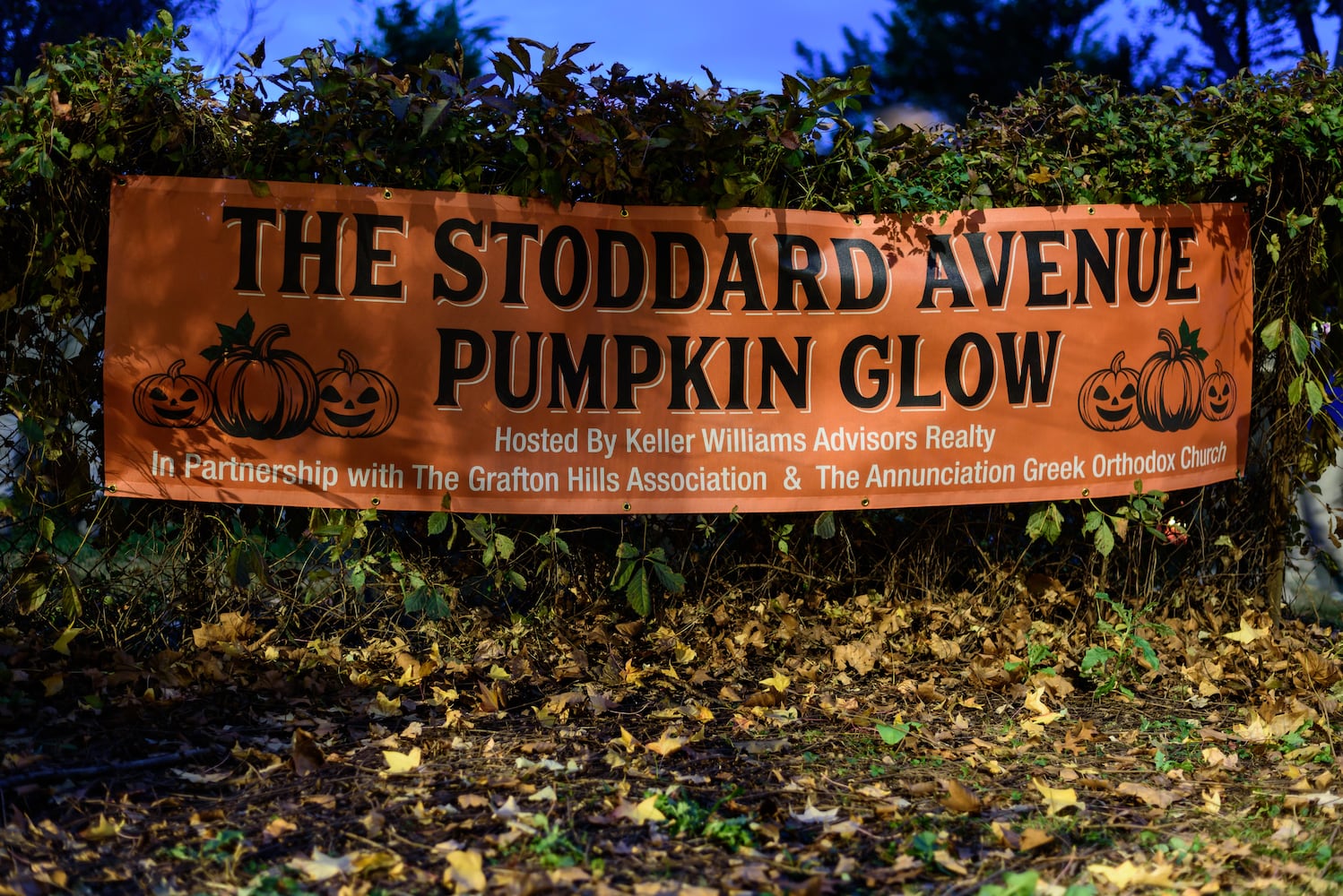 PHOTOS: 2025 Stoddard Avenue Pumpkin Glow