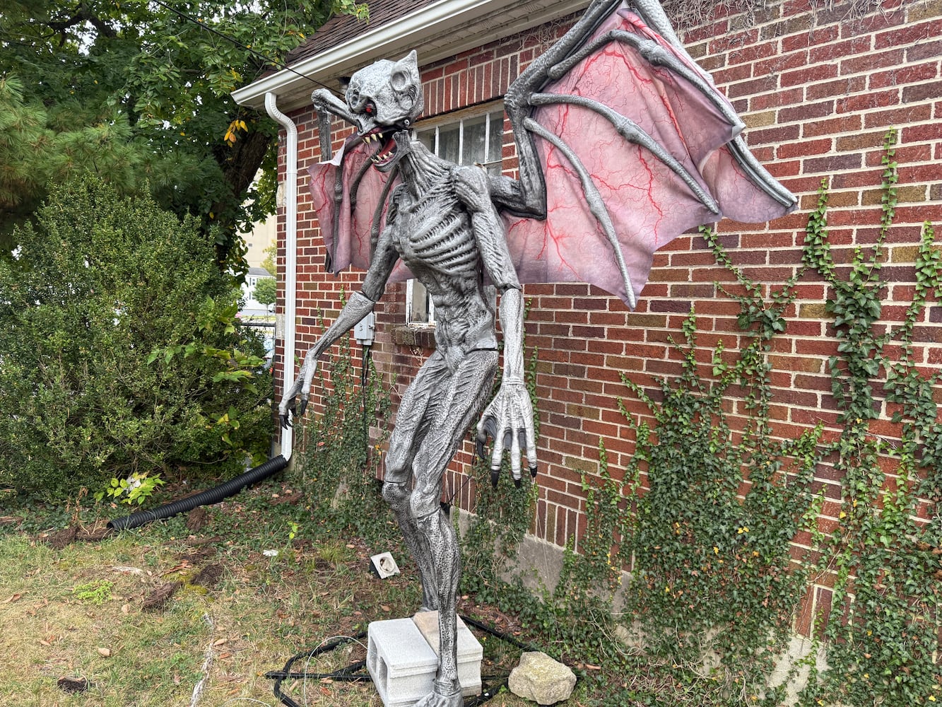 Foy's Halloween 2025