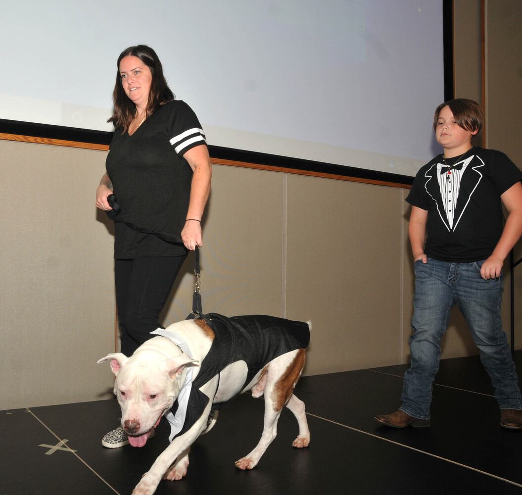 Did we spot you at Dogs on the Catwalk?