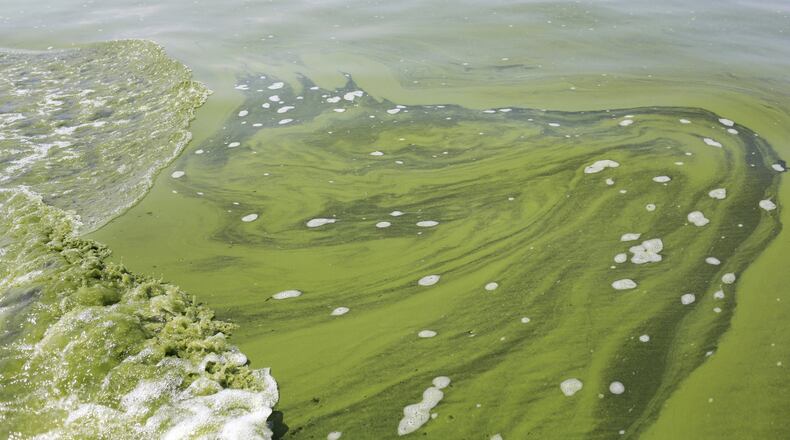 FILE - In this Aug. 3, 2014, file photo, an algae bloom covers Lake Erie near the City of Toledo water intake crib about 2.5 miles off the shore of Curtice, Ohio. Several environmental groups in Ohio and Michigan are suing the U.S. Environmental Protection Agency, saying the agency isn’t doing enough to protect Lake Erie from toxic algae. The federal lawsuit filed Tuesday, April 25, 2017, said the EPA needs to step in and take action under the Clean Water Act. Algae blooms in the shallowest of the Great Lakes have fouled drinking water in recent years and are a threat to wildlife and water quality. (AP Photo/Haraz N. Ghanbari, File)