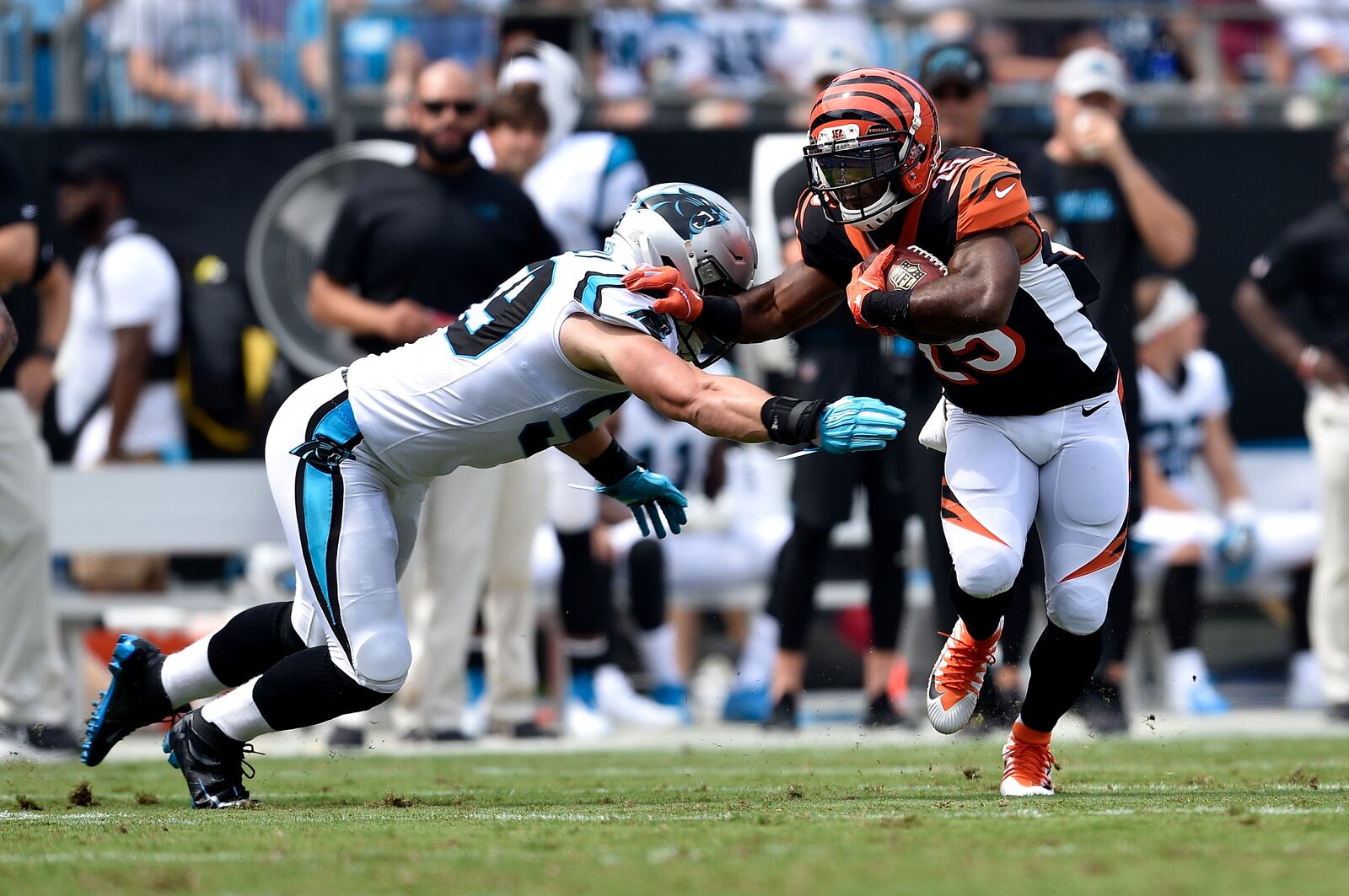 CHARLOTTE, NC - SEPTEMBER 23: Giovani Bernard #25 of the Cincinnati Bengals runs the ball against Luke Kuechly #59 of the Carolina Panthers in the first quarter during their game at Bank of America Stadium on September 23, 2018 in Charlotte, North Carolina. (Photo by Grant Halverson/Getty Images)
