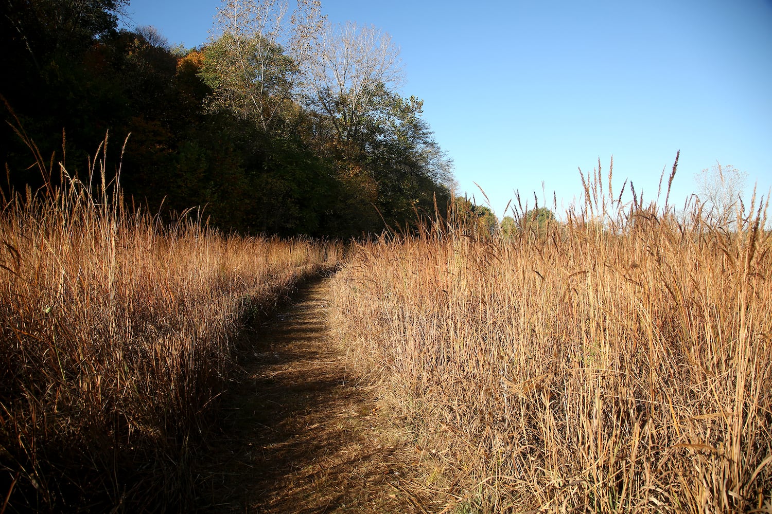 PHOTOS: New hiking trails at Germantown MetroPark explore a landscape of beauty