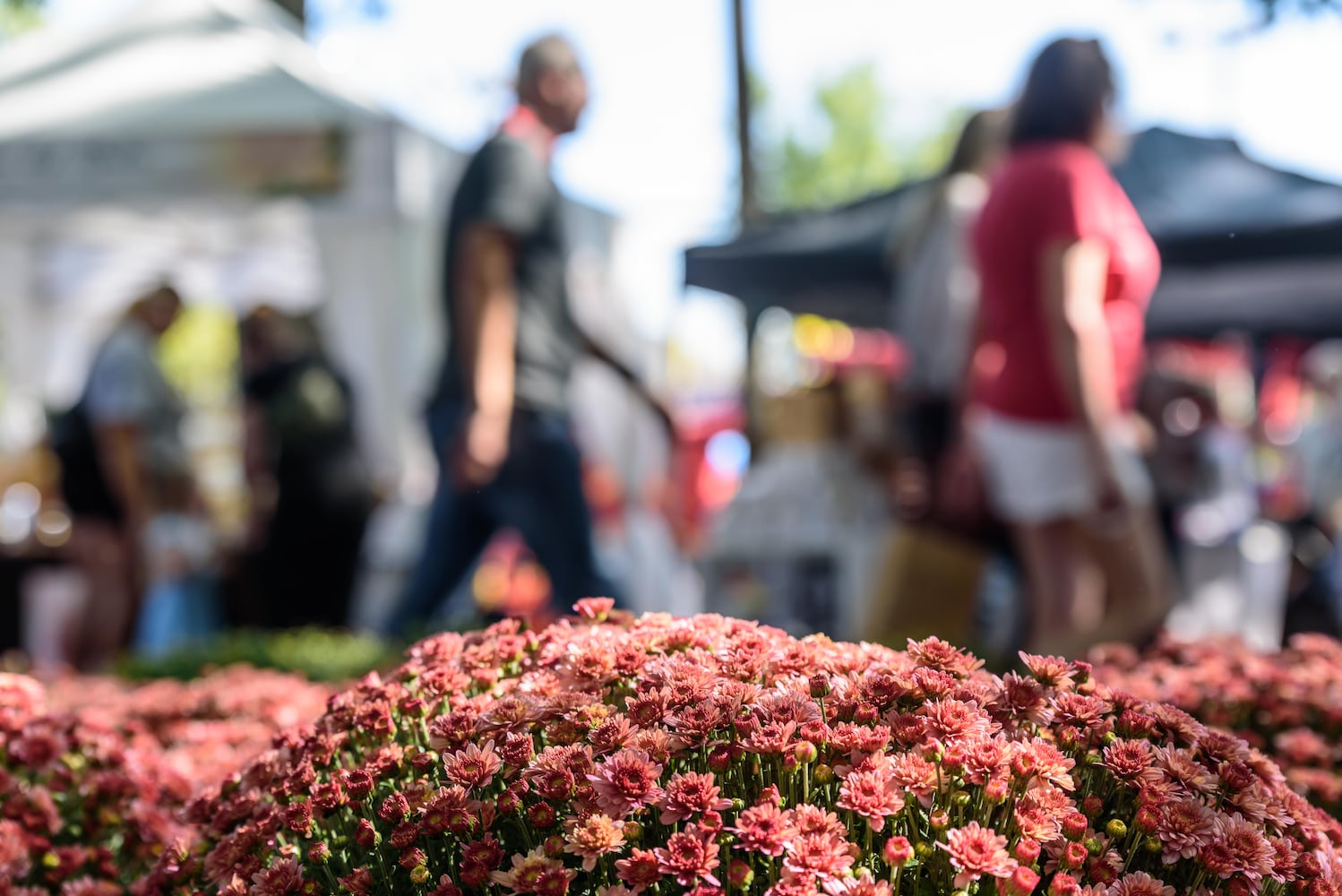 PHOTOS: 2025 Tipp City Mum Festival & Parade
