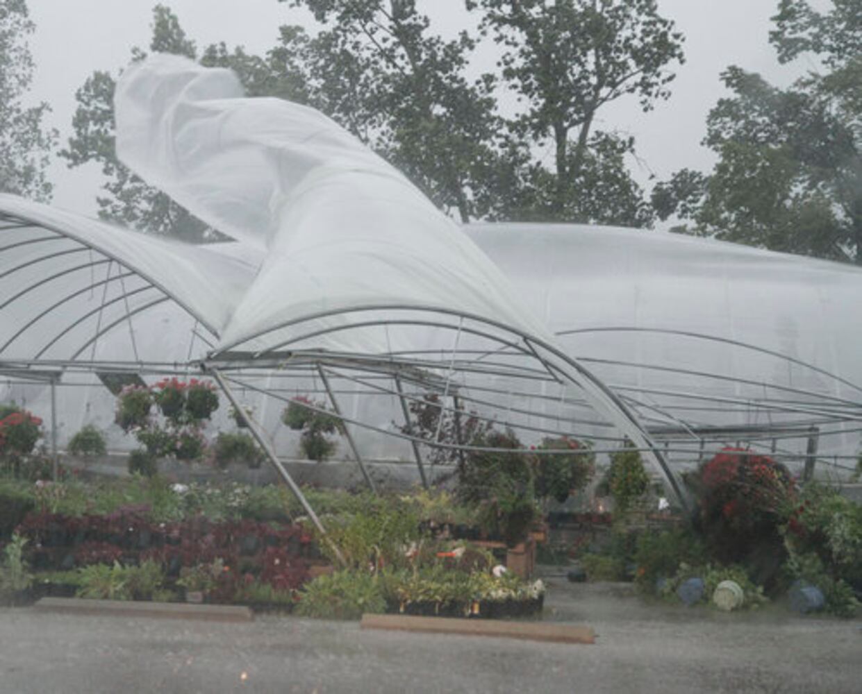 Storm damage