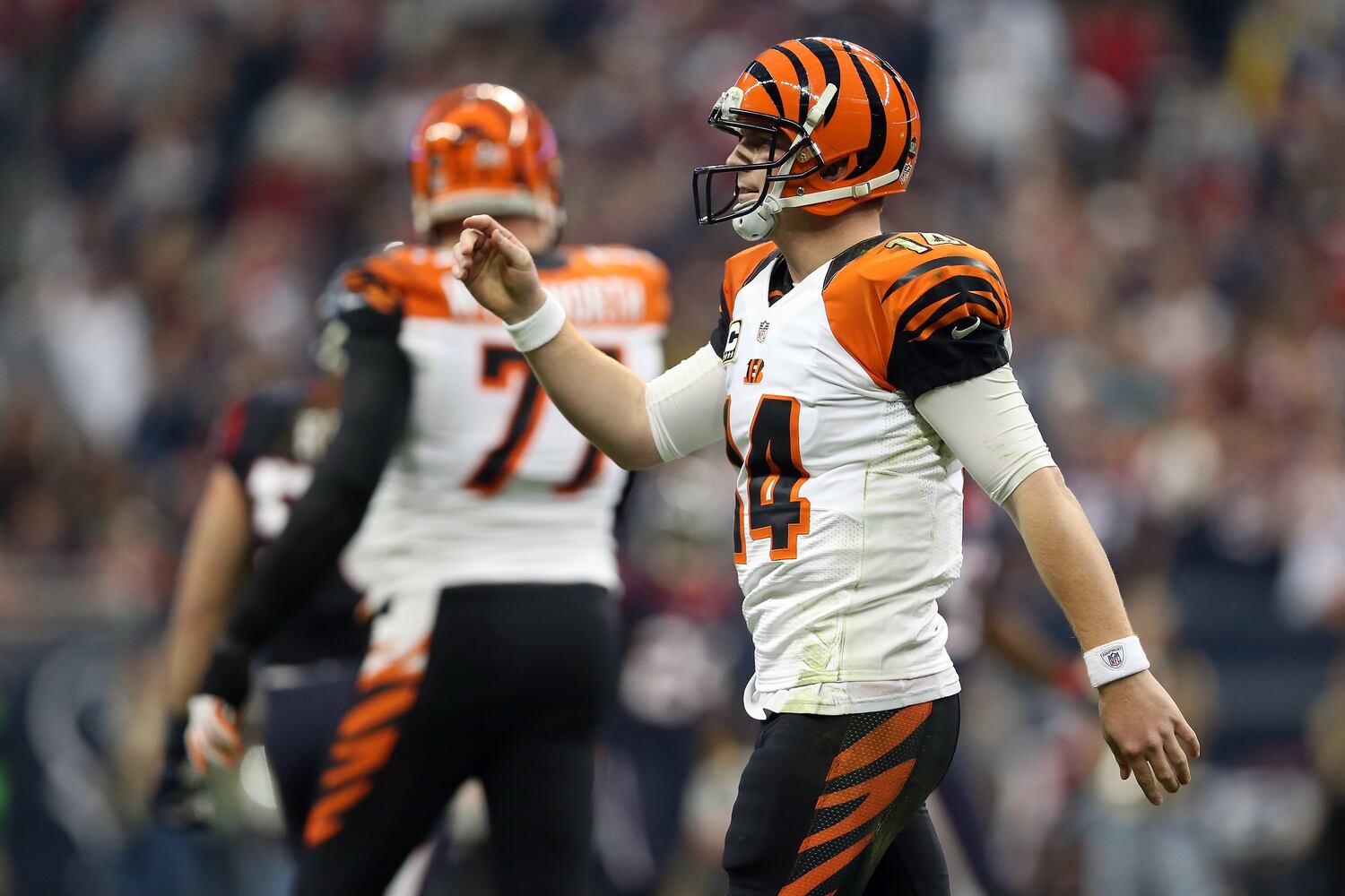 Bengals vs. Texans