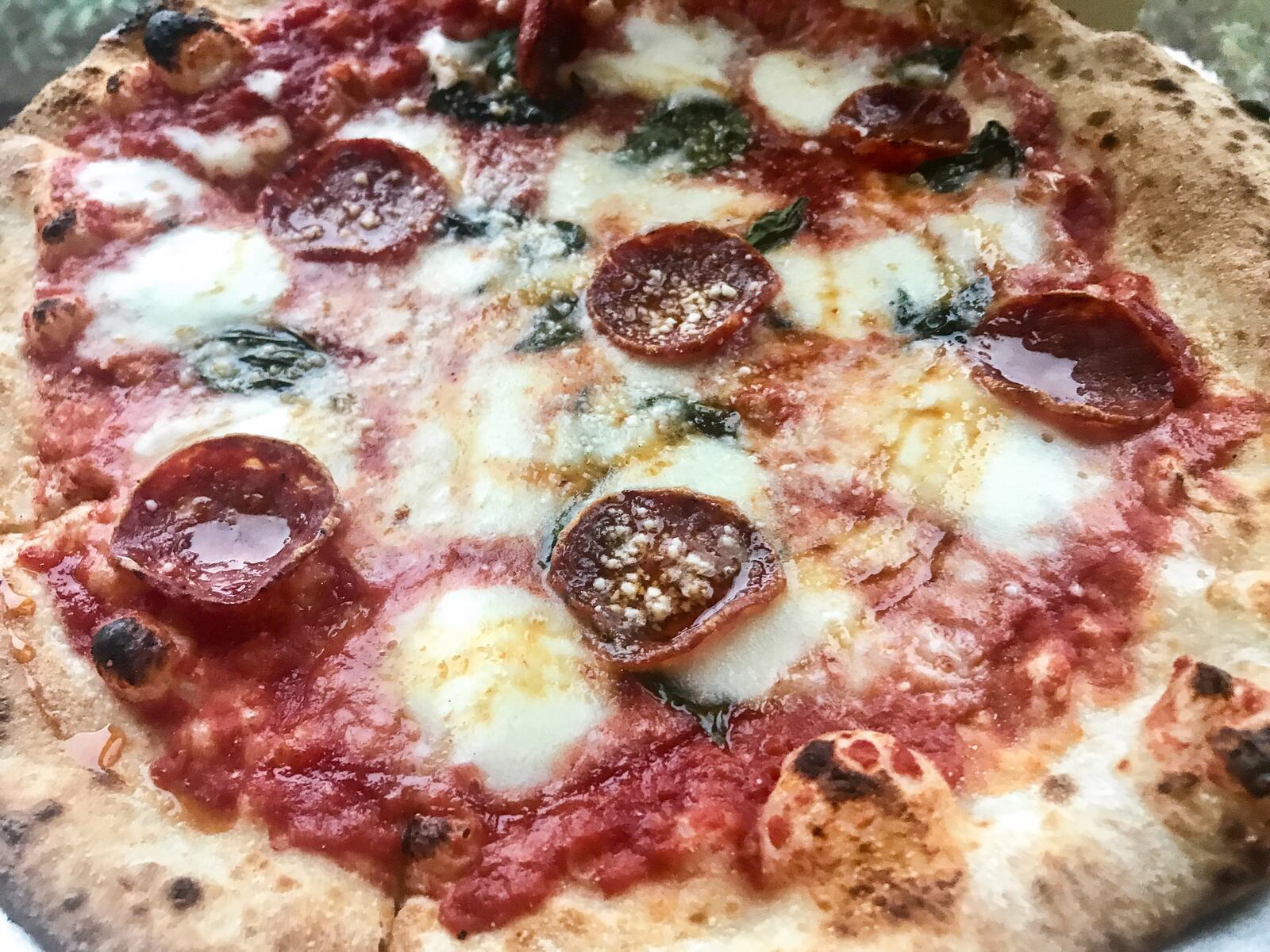 Old Scratch Pizza is offering free pizzas to guest who text "OSP" to 797979 on its first anniversary, Oct. 18, 2017