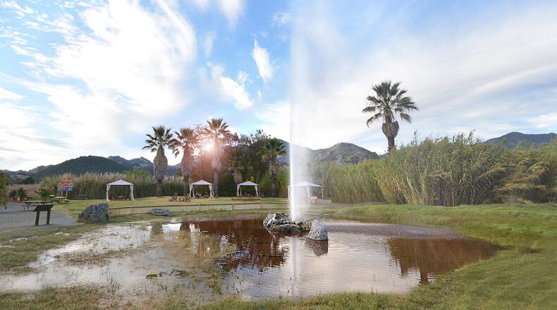 Old Faithful Geyser at his best. (Handout/TNS)