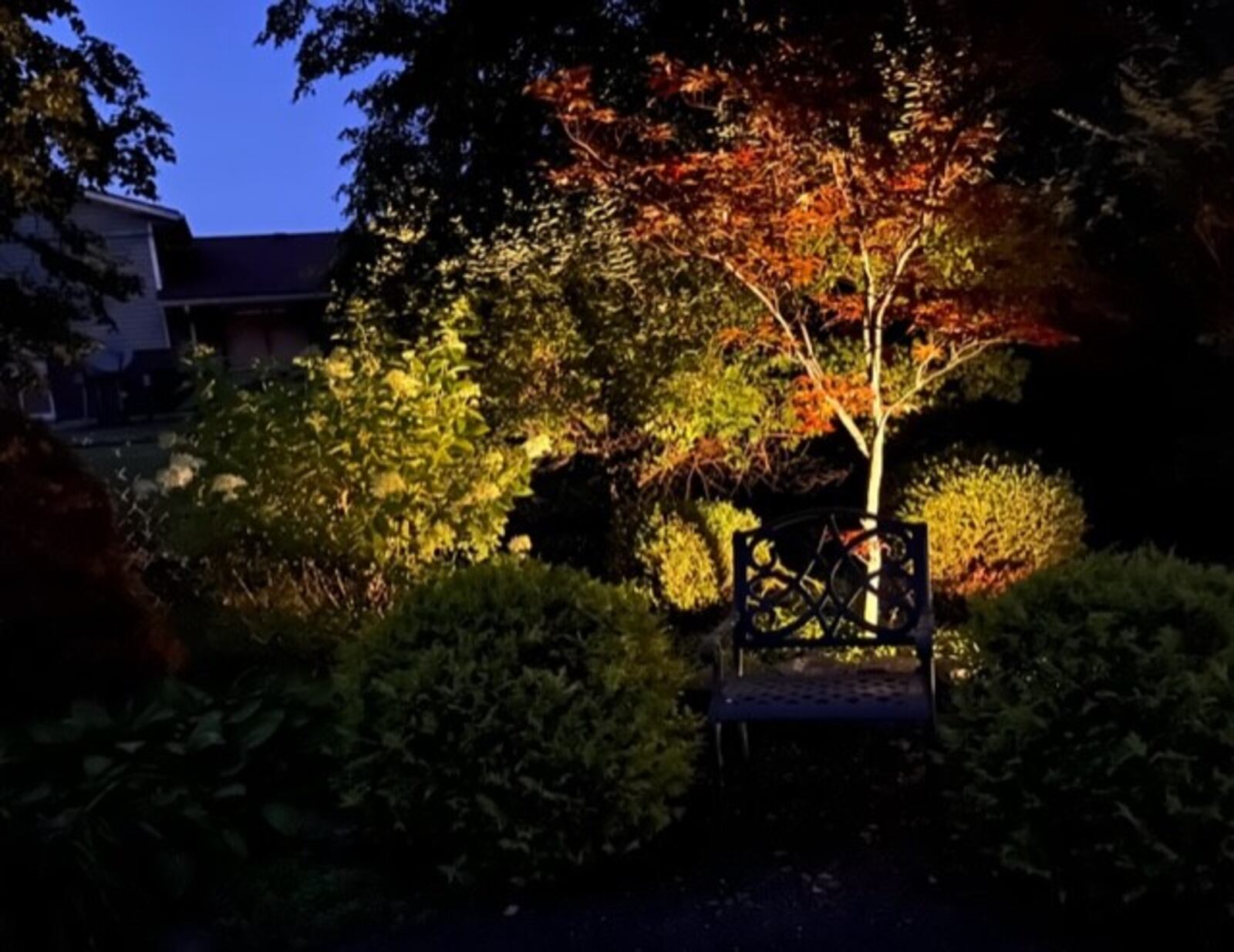 Over the last 40 years, the couple has turned the backyard into a tranquil abode where they spend a lot of time. CONTRIBUTED