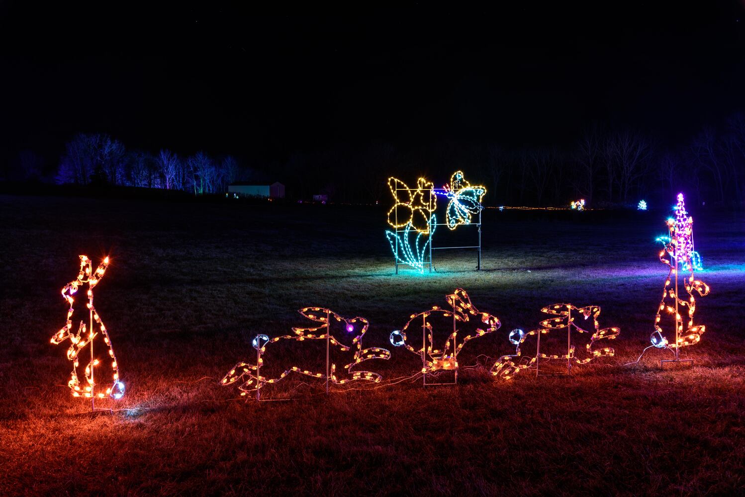 PHOTOS: ParkLights at Caesar Ford Park