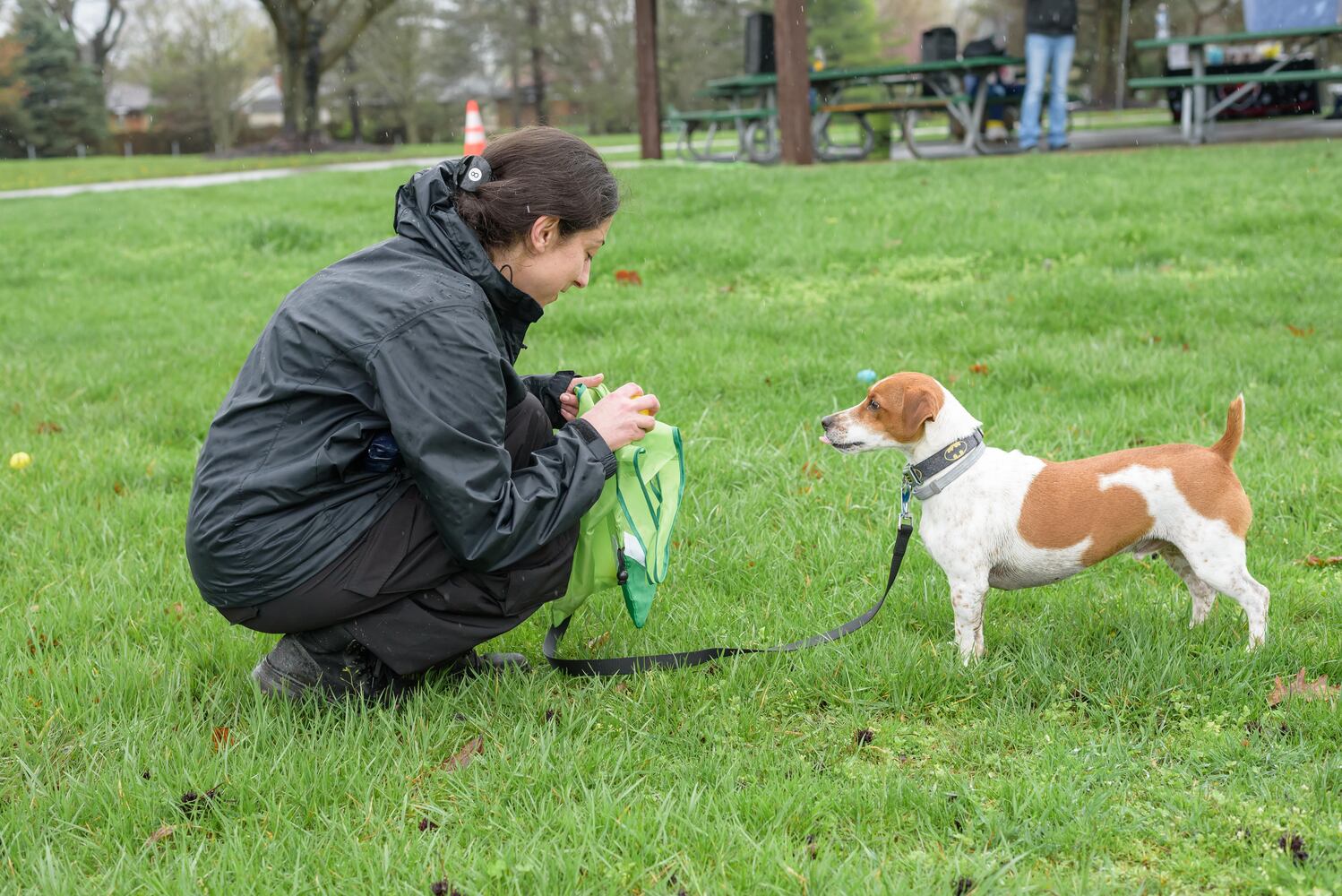 PHOTOS: Paws in the Park Egg Hunt in Fairborn
