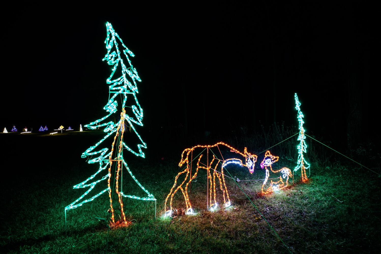 PHOTOS: Holiday Lights dazzle at Lost Creek Reserve in Troy