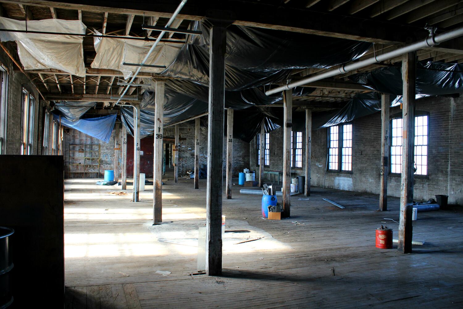The Davis-Linden Building renaissance