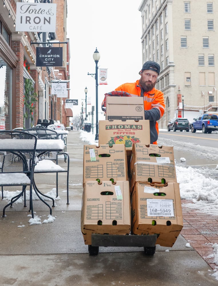 Springfield Snowfall 