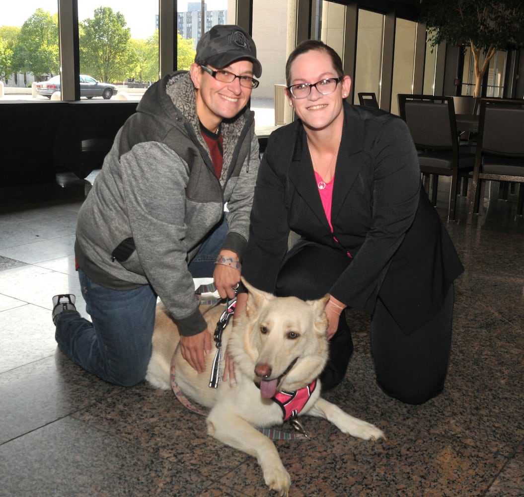 Did we spot you at Dogs on the Catwalk?