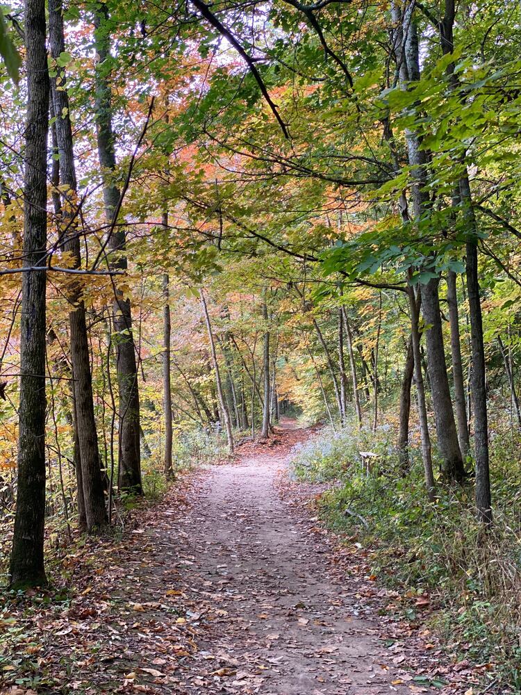 Narrows Reserve