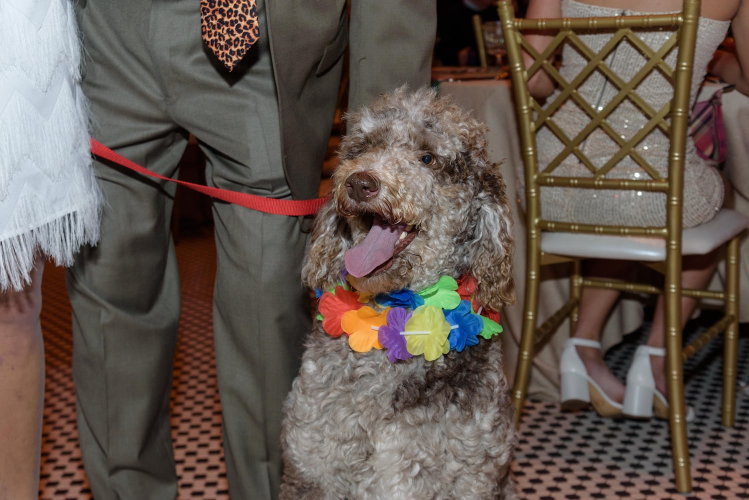 PHOTOS: Did we spot you at the Pet Afflaire Gala at the Dayton Arcade?