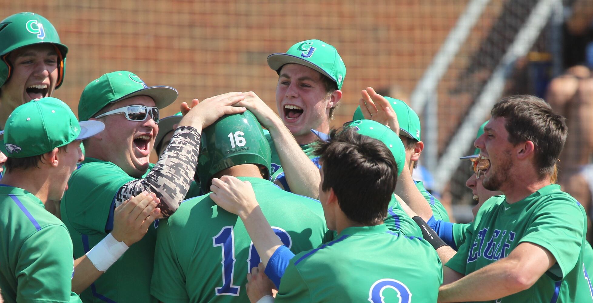 Photos: Chaminade Julienne wins regional baseball title