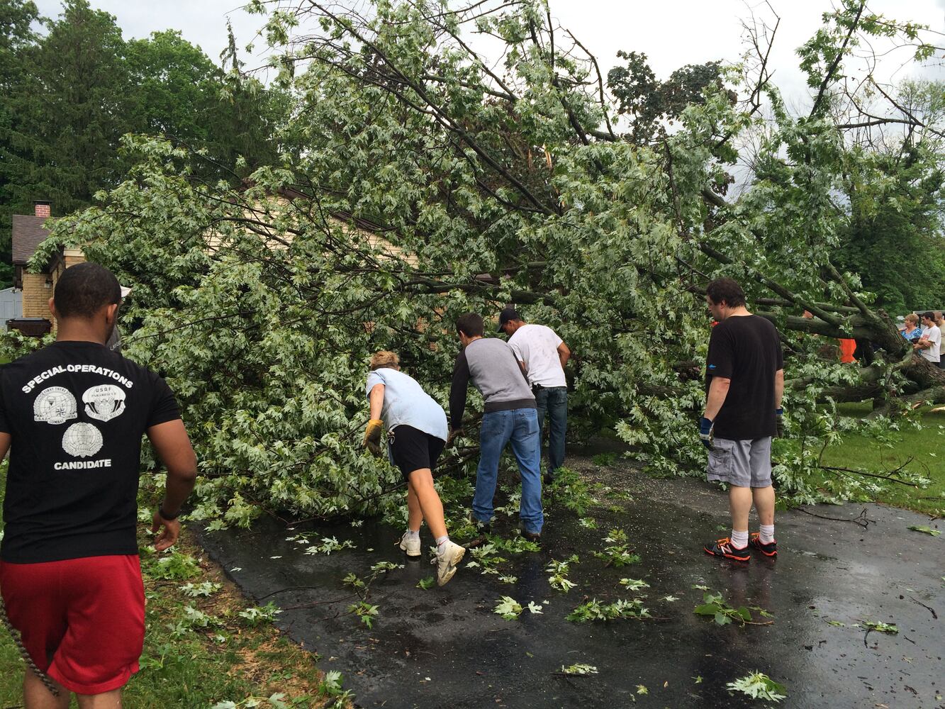 Storm damages trees, houses