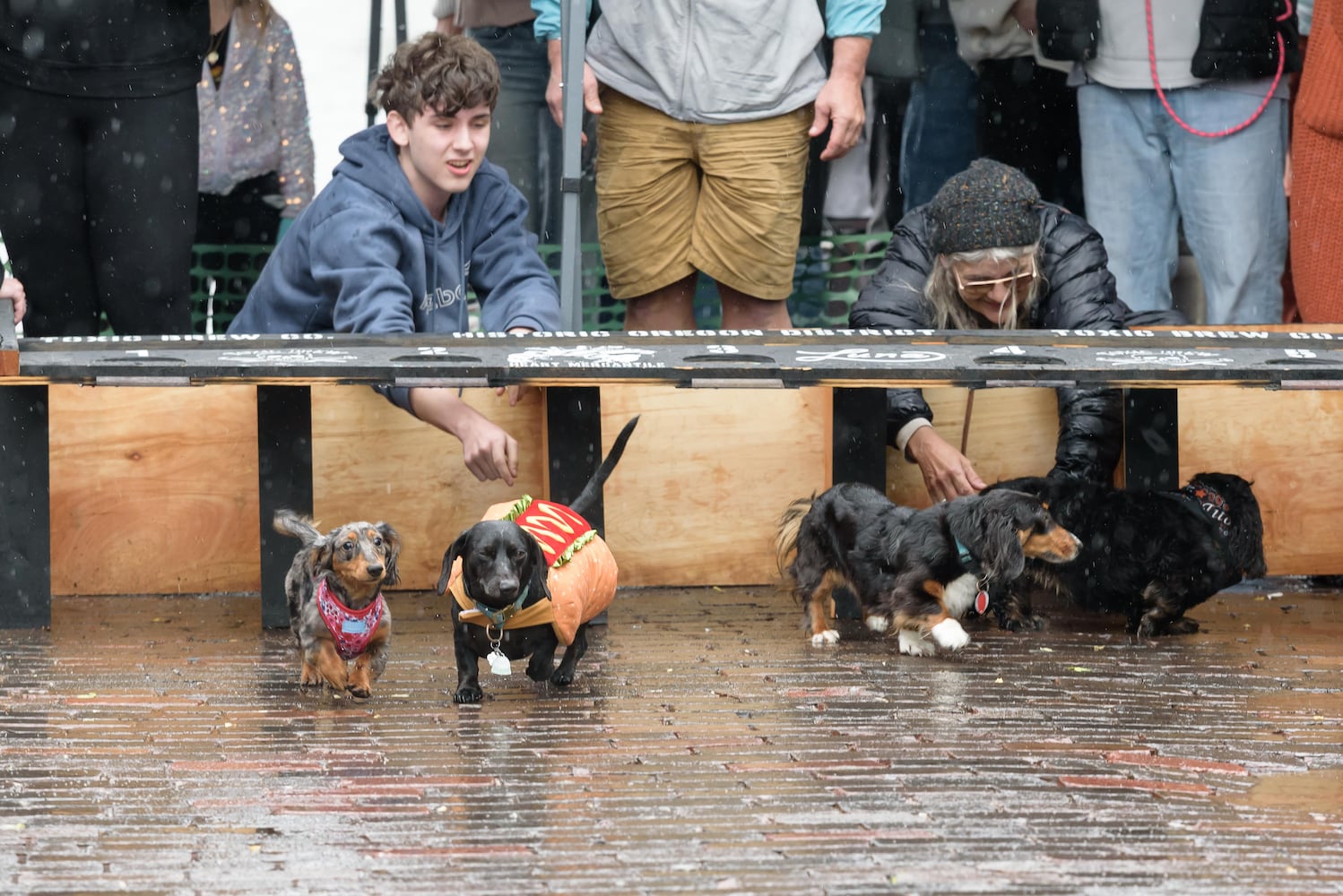 PHOTOS: 2025 Derby Day wiener dog races in the Oregon District