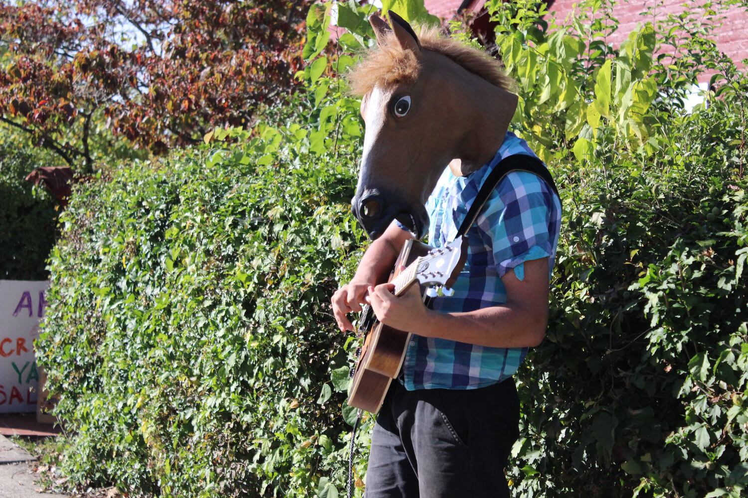 Yellow Springs Fall Street Fair 2015