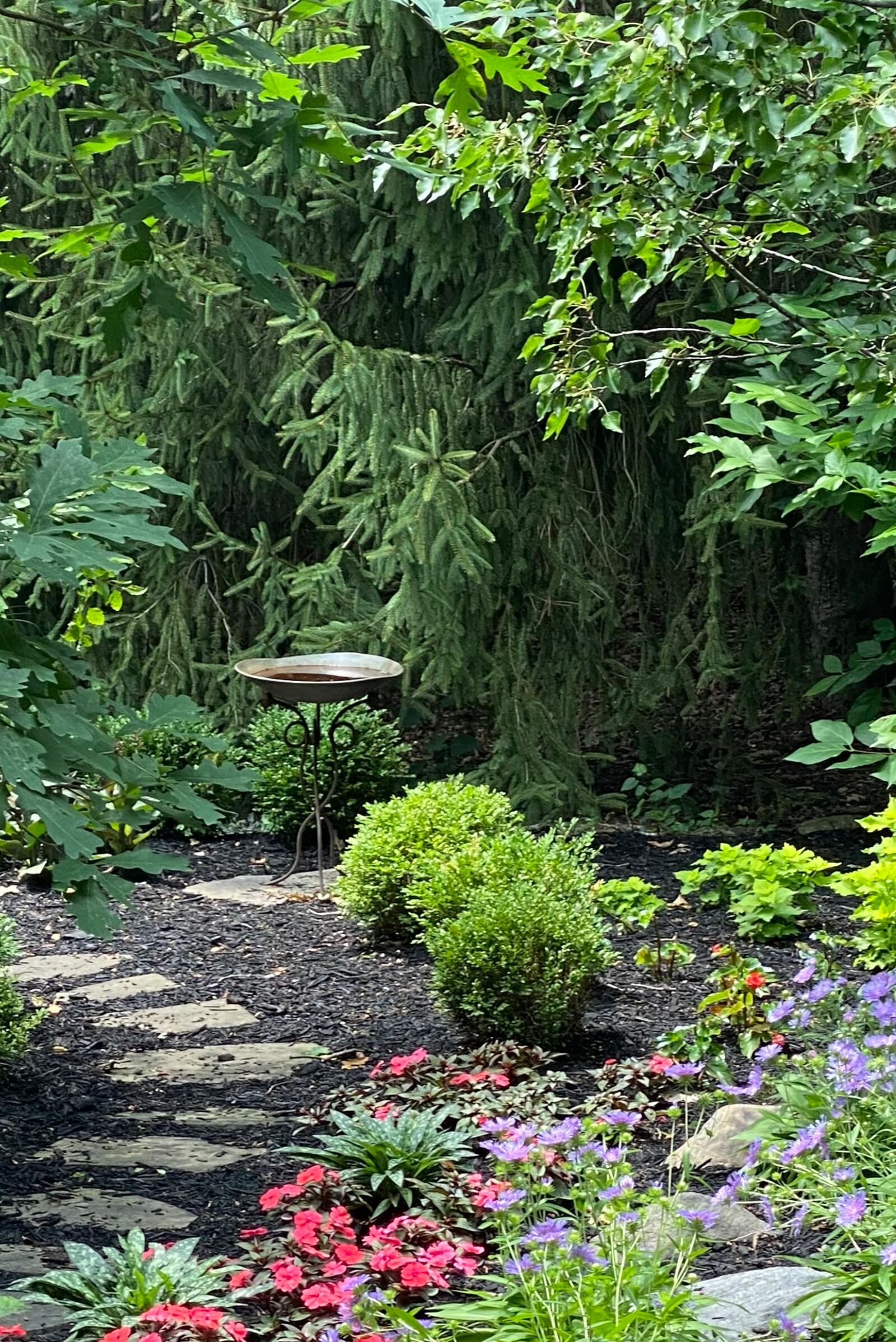 Over 80 unique conifers, mostly dwarf varieties, can be seen in this yard. The owners have created a useful and attractive limestone feature with steps and boulders to provide access to the backyard and to manage water runoff.
Photo: Kimberly Robinson.