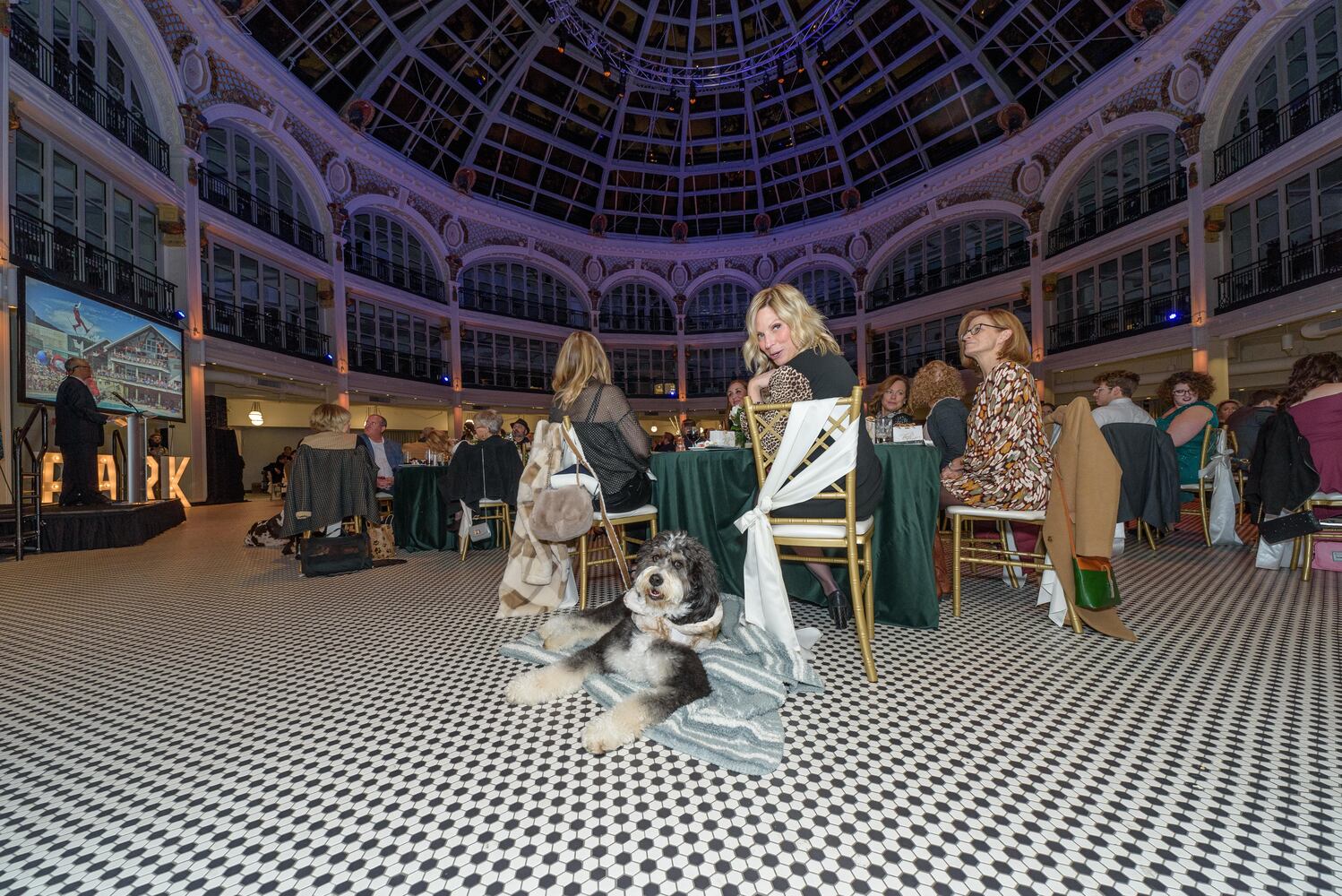 PHOTOS: Did we spot you at the Pet Afflaire Gala at the Dayton Arcade?