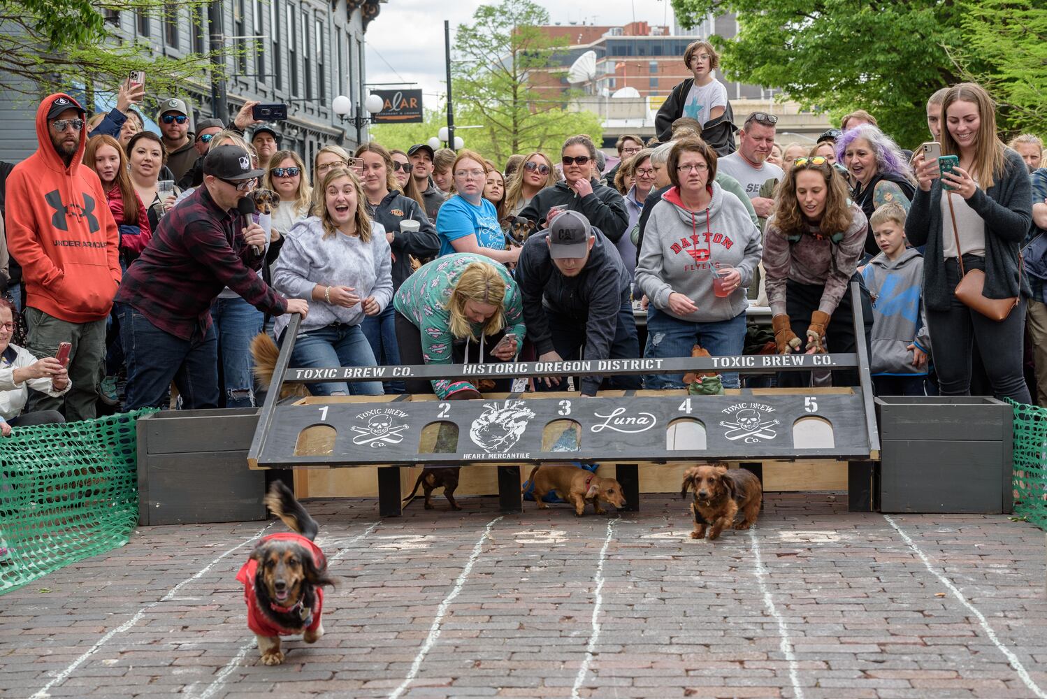 PHOTOS: Did we spot you at the Derby Day Wiener Dog Race in The Oregon District?