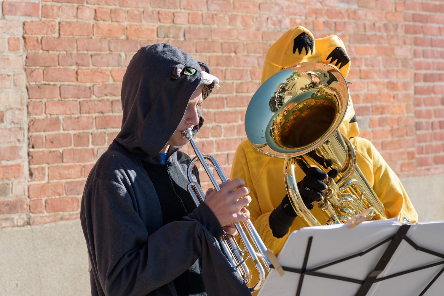 PHOTOS: Did we spot you at the Yellow Springs Street Fair
