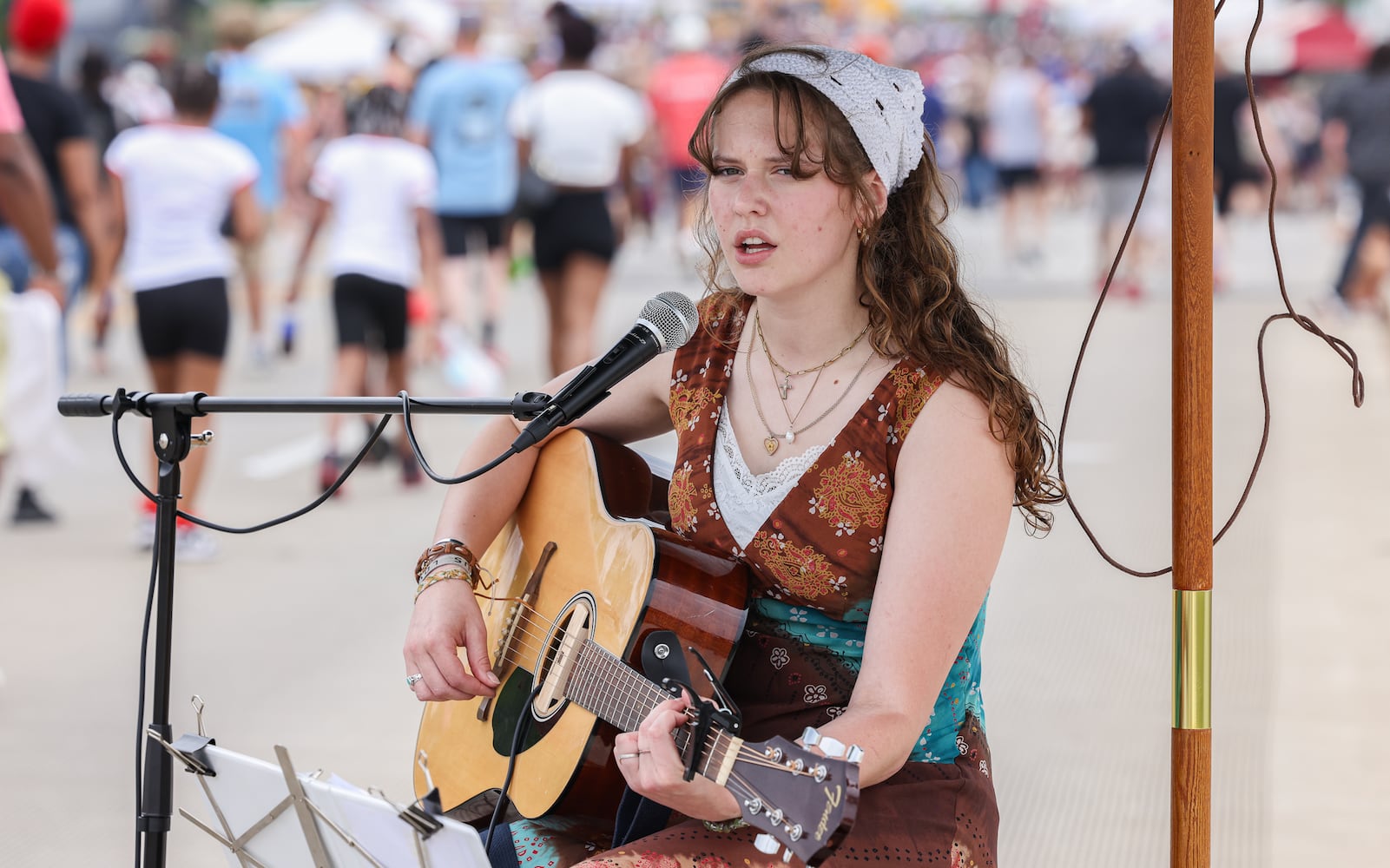 Troy Strawberry Festival 2025 061425 DDN