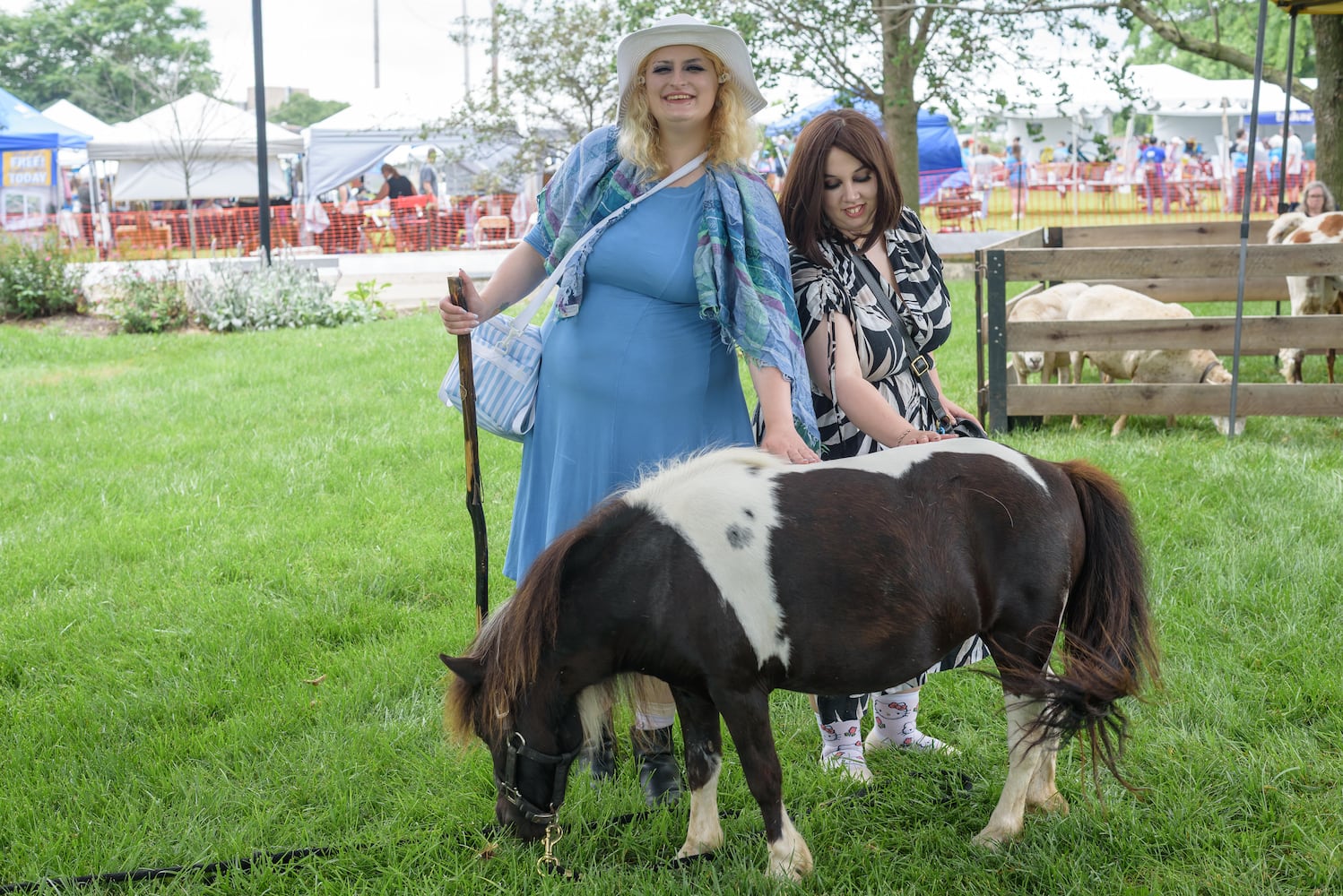 PHOTOS: 2025 Dayton Jewish Cultural Festival at Temple Israel