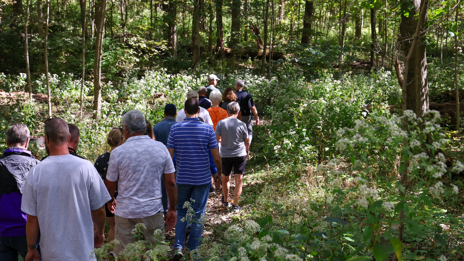 A group walks on a tour of Ferguson Land Lab by Beavercreek High School on Wednesday, Oct. 1. The forest, which is owned by Beavercreek City Schools, is the first forest in Greene County to earn designation with the Old-Growth Forest Network. BRYANT BILLING / STAFF