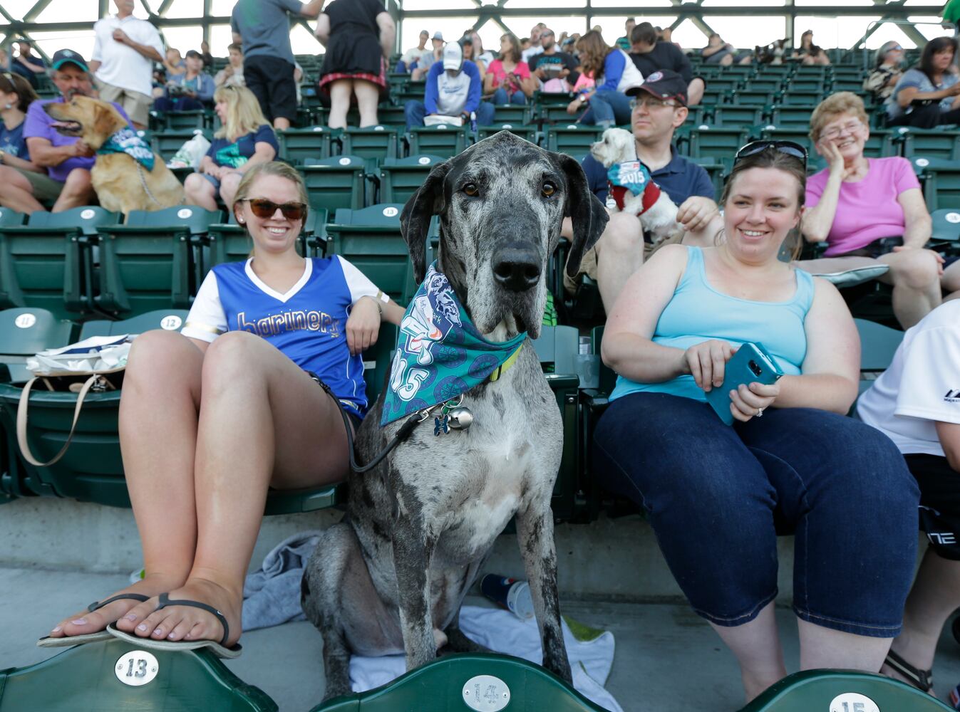 News hounds (7/16/15)
