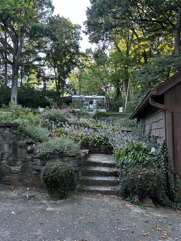 Sarena Kelley Oakwood Avenue