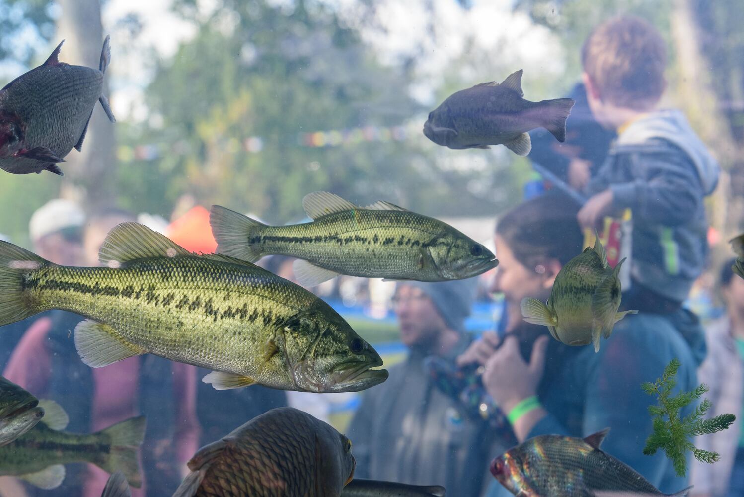 PHOTOS: Did we spot you at the Wagner Subaru Outdoor Experience at Eastwood MetroPark?
