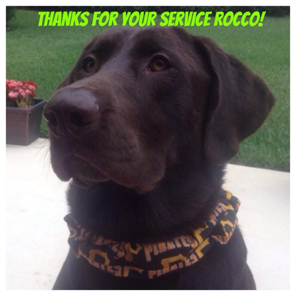 RIP Rocco