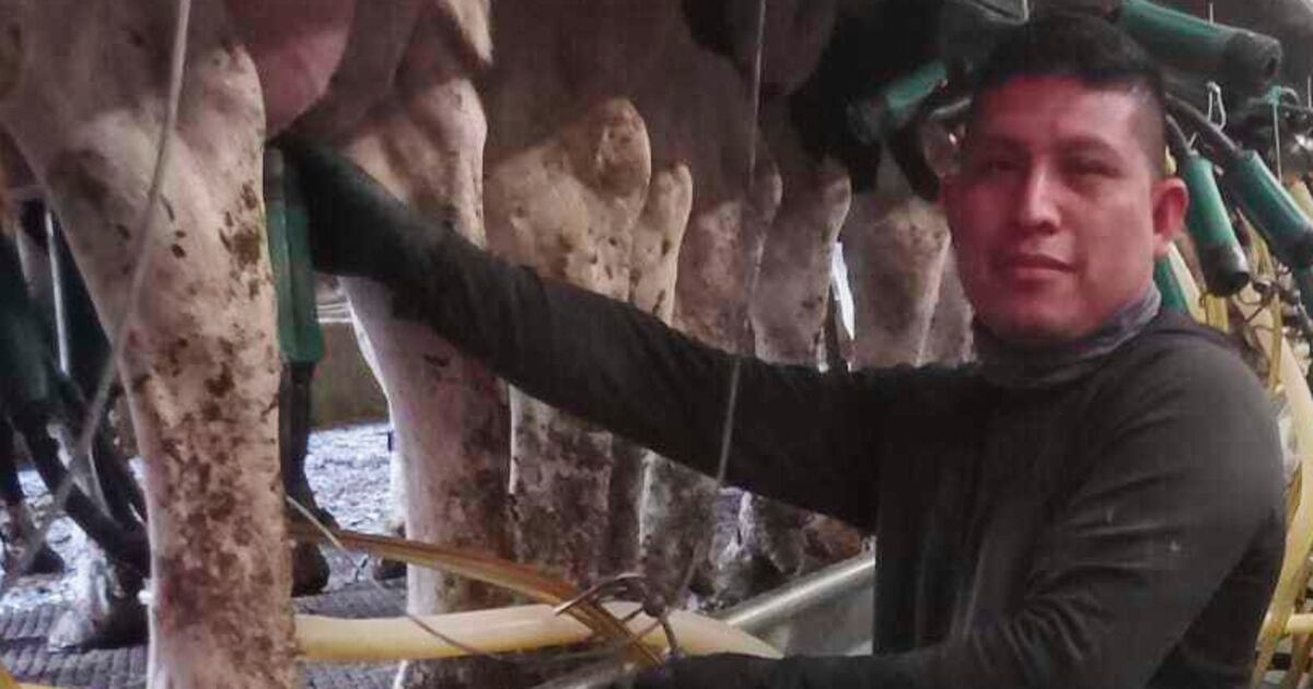 A Vermont dairy farm was raided. The mixed messages from Washington since then have...