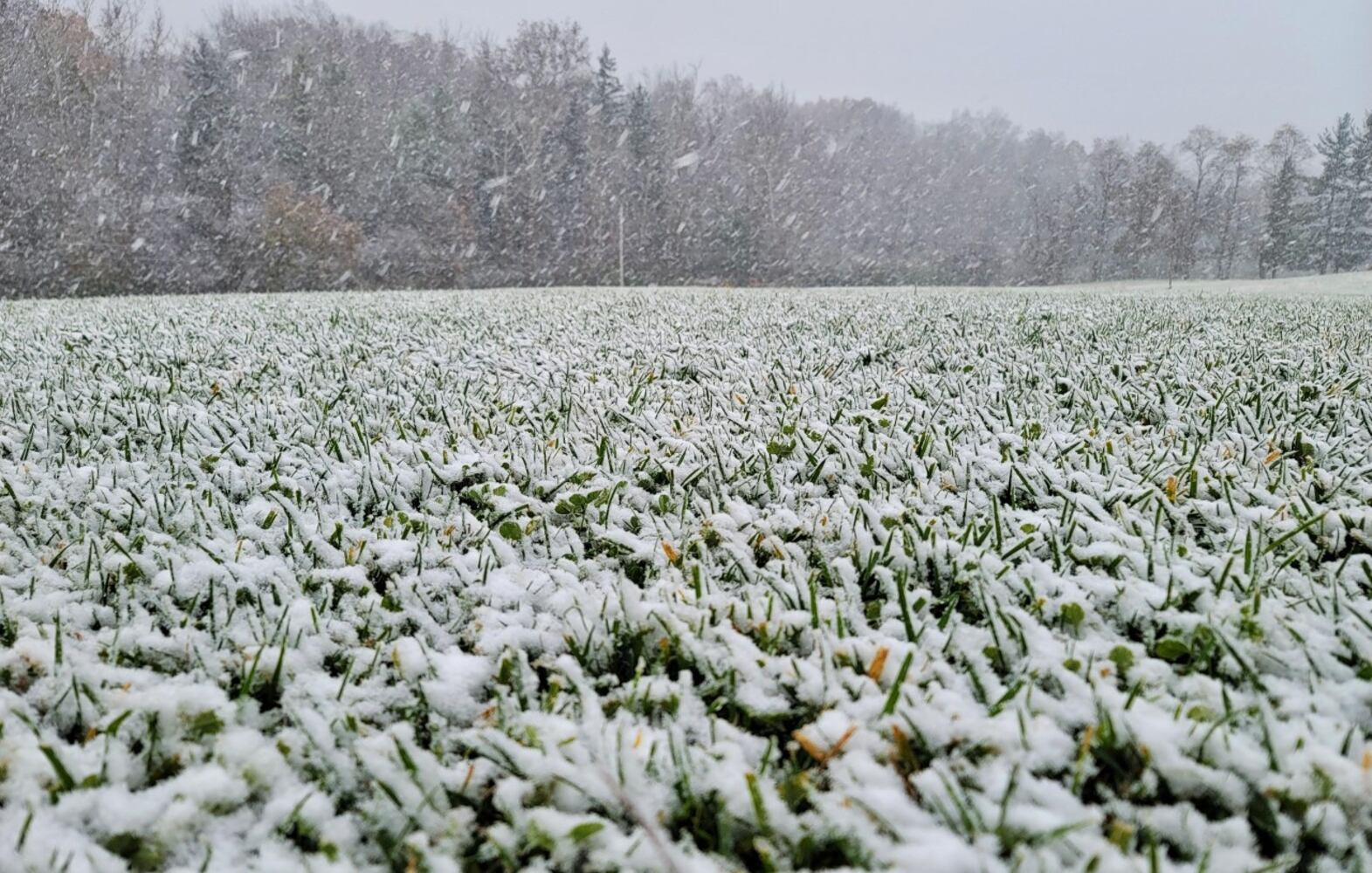 First snowfall of the season