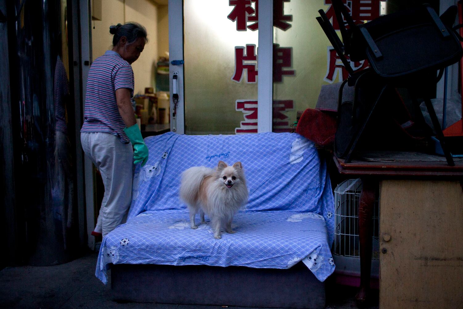 News hounds (7/19/12)