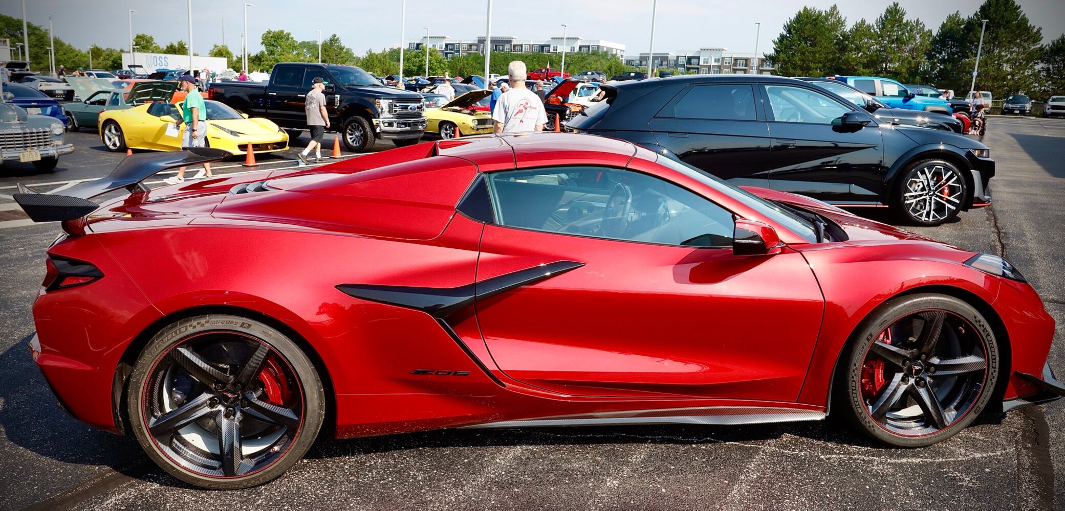 Cruise in